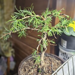 20260222_20365288b864012e419a9a