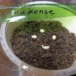 IMG_20251222_125906aa37a6014f3c9aaf