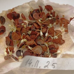 IMG_20260307_0936061bd498c458c673df