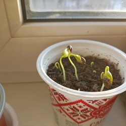 IMG_20260313_080255c6af0ab9ecf3b50e