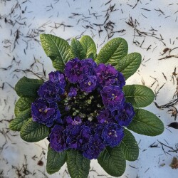 20260316_132713999501f80652b6e5