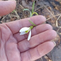 IMG_20260315_164501160475fb83fec944