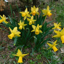 DSCN8251a4650727ac04f52b