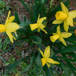 DSCN82528e1dab047a78e91e