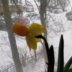 IMG_20210213_104629Ke732115269bf35a1