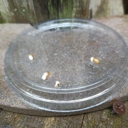 IMG_20250618_080207ff779d15760620c0