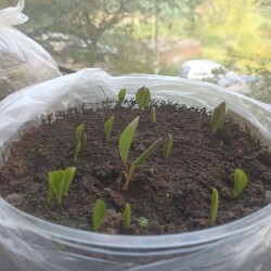 IMG_20250507_080708b9026de612a1805b