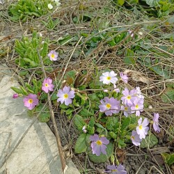 IMG_20260327_1138053aaf85d7ad0fccac