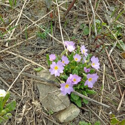 IMG_20260327_1138206cd8afdc5096ddc2