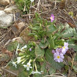 IMG_20260327_113852179576e4edce2b8d