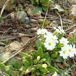 IMG_20260327_113855e43e9881ec67b75c