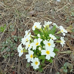 IMG_20260327_113926bce500aa167cb7a7