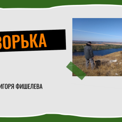 igor-fishelev-zorkaf28d24b553e6ce7f