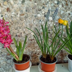 IMG_20260315_18213107e366a7d44812f1