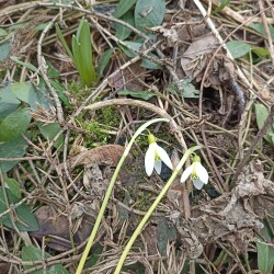 IMG_20260401_120520dc8d06b1e1f46cd3