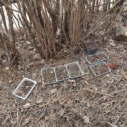 IMG_20260401_1239147c1839375baee071