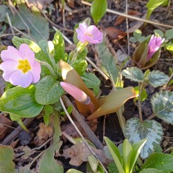 IMG_20260403_1712218f213efd39c84800