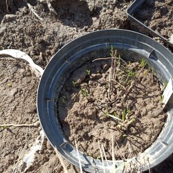 IMG_20260404_1154448aa7dd499d9e8dd2