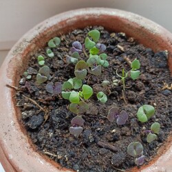 IMG_20260405_0851310d2029acefa3e9f9