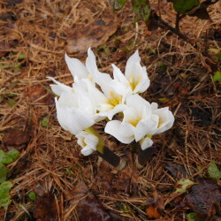 DSCN28590da0f5692a4fb767