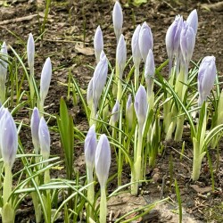 IMG_1381f84e387387ce4d4c