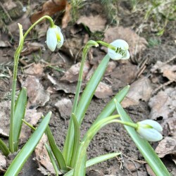 IMG_1384ce66039e639e8f47