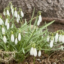 IMG_1390e708717084e713df