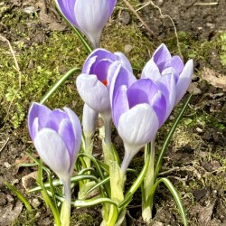 IMG_1398a496205f28fd02eb