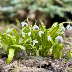 IMG_140817a880f9ad2e3ef1