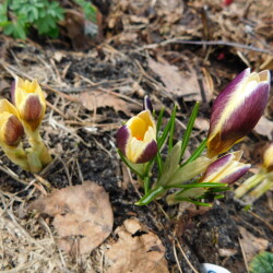 DSCN29130a9ae44ab935d9de