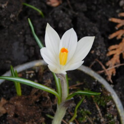 DSCN292403803ad1da73bb72