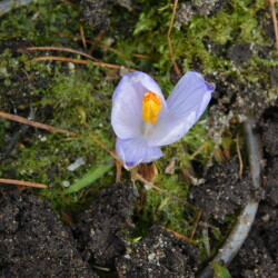 DSCN292621987b661cb1e26c