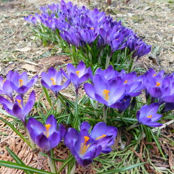 DSCN29292a6dcb5f7e4f3bf9