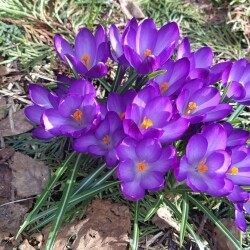 IMG_20260413_1515548cbbaafd5402cda3