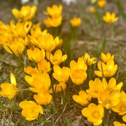 IMG_1432ff07c7efc2988660