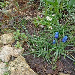 IMG_20260416_093715e562e4f179dc2b8c