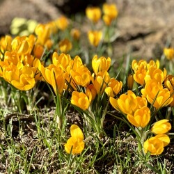 IMG_145210c0d4a97de88b38