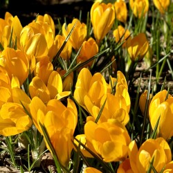 IMG_1453cde8fb91cb9c87af