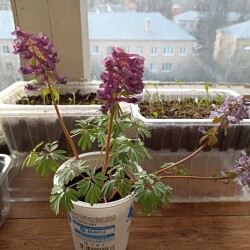 IMG_20260417_190420021644dd428e028c