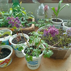 IMG_20260420_103133263c99ab68d25e32