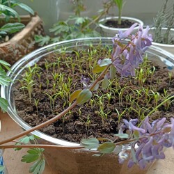 IMG_20260420_10314457d4d721b328ae12