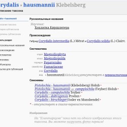 KOKL17767115613607e13ec7c81cd33c7