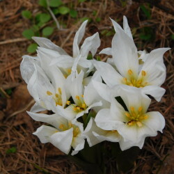 DSCN295688f135d6bec0f6af