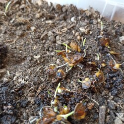 IMG_20260322_120934ef699e064674d5e8