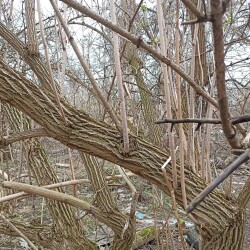 IMG_20260419_120214cd8a5d0c7c339d0b