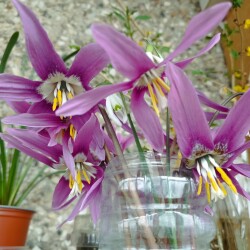 IMG_20260419_151756c3e4fc9b28fdc297