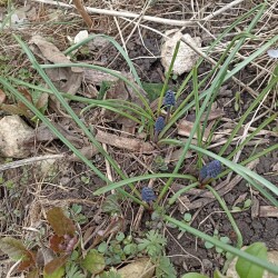 IMG_20260420_16460795c6d1776985e61f