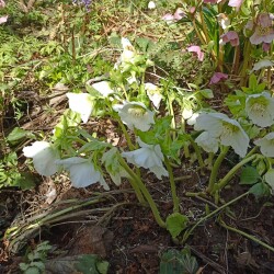 IMG_20260422_14001612fe5c7dfee579e4