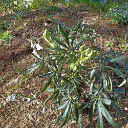 IMG_20260422_15550082c3593ccc922e8e