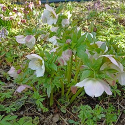 IMG_20260422_16080083701570b669cd42